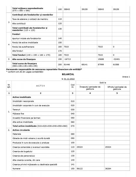 Raport Financiar 2022